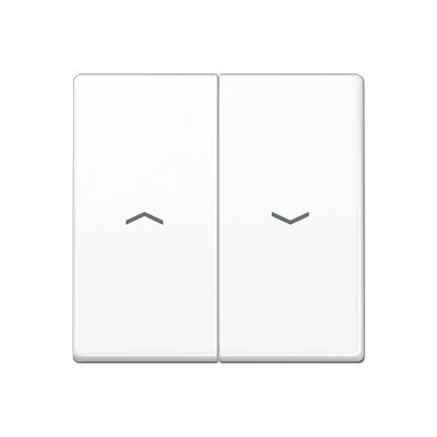 JUNG AS591-5PWW, rocker, 4011377299955