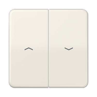 JUNG CD595P, 2-gang rocker with symbols, 4011377077508