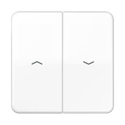 JUNG CD595PWW, 2-gang rocker with symbols, 4011377078802