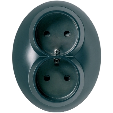 Schneider Electric WDE007084, Renova - double socket outlet - 2P - 16 A - 250 V AC - black, 3606480330926
