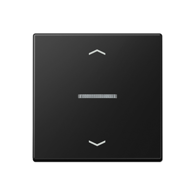 JUNG A101KO5PBFSWM, Rocker for push-button 1-gang, lens, arr, 4011377205871