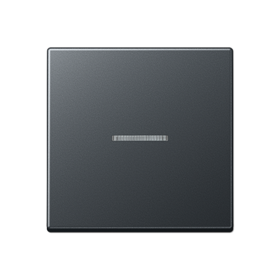 JUNG A10911STRFBFANM, KNX RF centre plate 1-gang, 4011377194359