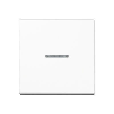 JUNG A10911STRFBFWW, KNX RF centre plate 1-gang, 4011377194335