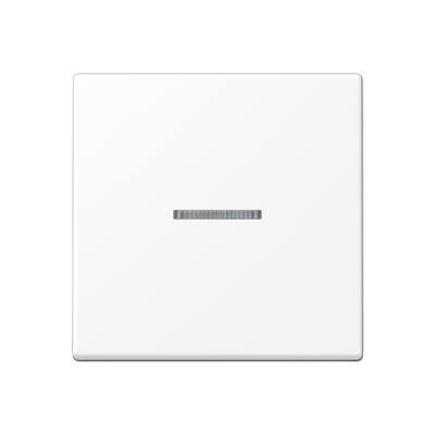 JUNG A10911STRFBFWWM, KNX RF centre plate 1-gang, 4011377214378