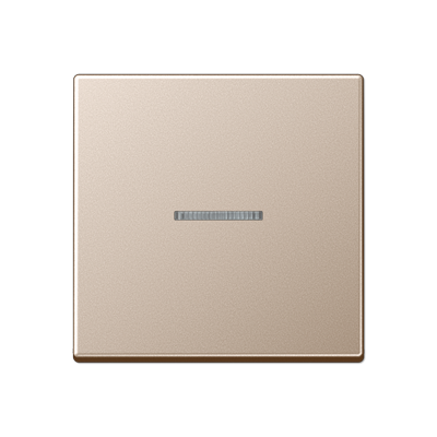 JUNG A10911STRFCH, KNX RF centre plate 1-gang, 4011377194311