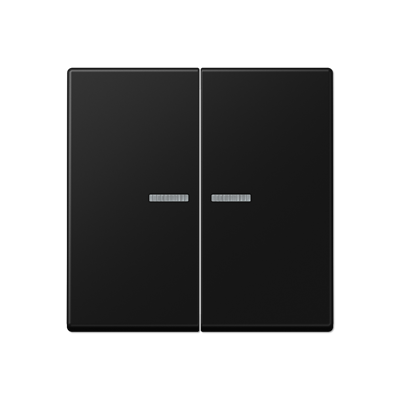 JUNG A10921STRFBFSWM, KNX RF centre plate 2-gang, 4011377214415