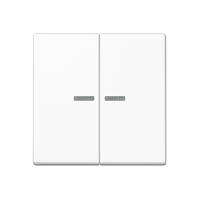 JUNG A10921STRFBFWW, KNX RF centre plate 2-gang, 4011377194427