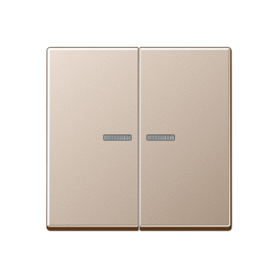 JUNG A10921STRFCH, KNX RF centre plate 2-gang, 4011377194397