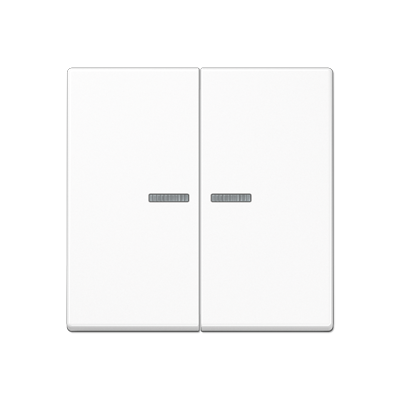 JUNG A10921STRFWW, KNX RF centre plate 2-gang, 4011377194366