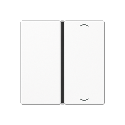 JUNG A401TSAPWW, Cover 1-gang with symbols, 4011377037045
