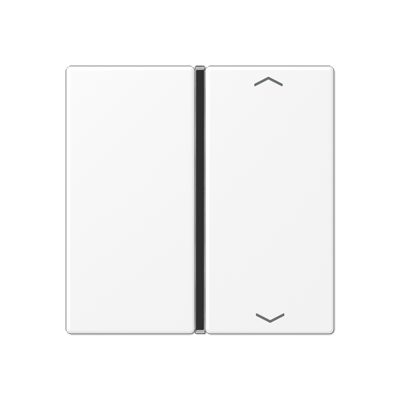 JUNG A401TSAPWWM, Cover 1-gang with symbols, 4011377204324