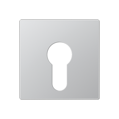 JUNG A525PLAL, cover plate f. key switch, 4011377199156