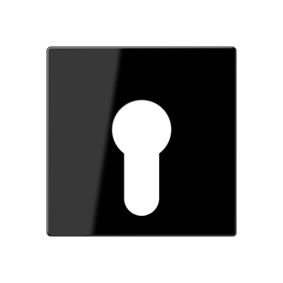 JUNG A525PLSW, cover plate f. key switch, 4011377028098