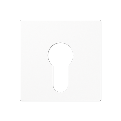 JUNG A525PLWW, cover plate f. key switch, 4011377199057