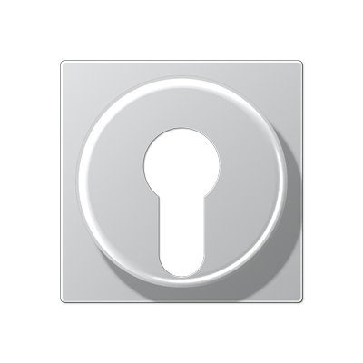 JUNG A528PLAL, cover plate f. key switch, 4011377126954