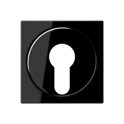 JUNG A528PLSW, cover plate f. key switch, 4011377028081