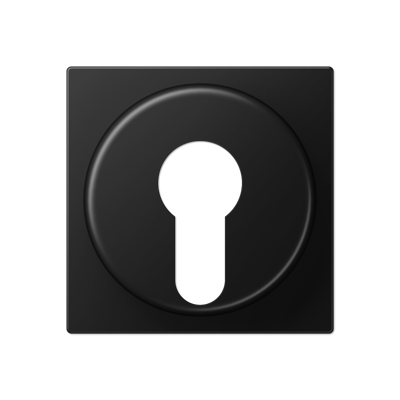 JUNG A528PLSWM, Centre plate, 4011377190023