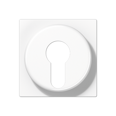 JUNG A528PLWW, cover plate f. key switch, 4011377038257