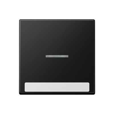 JUNG A590BFNAKO5SWM, cover Plate, 4011377191891