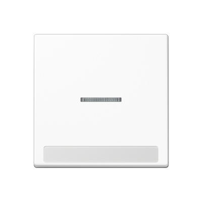 JUNG A590BFNAKO5WW, cover Plate, 4011377191822