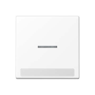 JUNG A590BFNAKO5WWM, cover Plate, 4011377191884