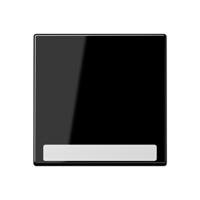 JUNG A590BFNASW, cover Plate, 4011377191747