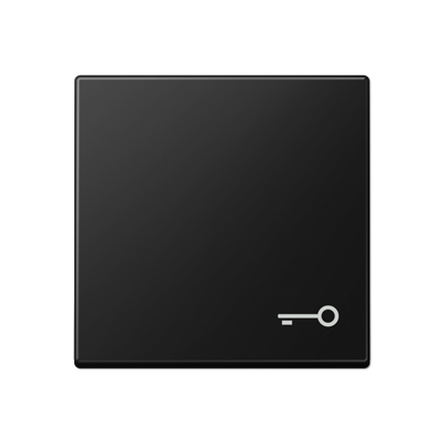 JUNG A590TSWM, 1-gang rocker w. symbol door, 4011377205611