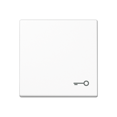 JUNG A590TWW, 1-gang rocker w.symbol door, 4011377031456