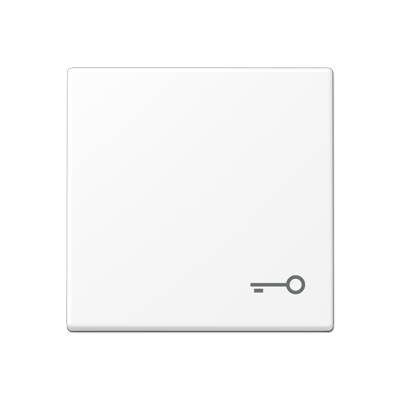 JUNG A590TWWM, 1-gang rocker w.symbol door, 4011377204140