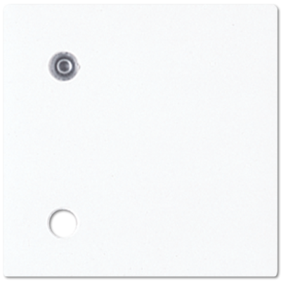 JUNG A592LWW, cover plate for Ackermann, 4011377997981