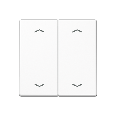 JUNG A595BFMPWW, rocker, 4011377131965