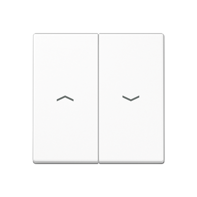 JUNG A595BFPWW, 2-gang rocker with symbols, 4011377103474