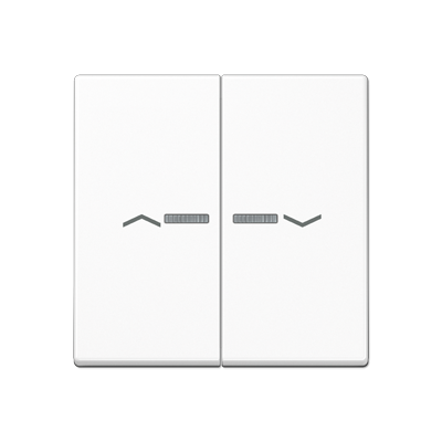 JUNG A595KO5PWW, 2-gang rocker with transparent lenses, 4011377217959