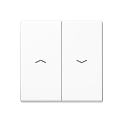 JUNG A595PWW, 2-gang rocker with symbols, 4011377031654