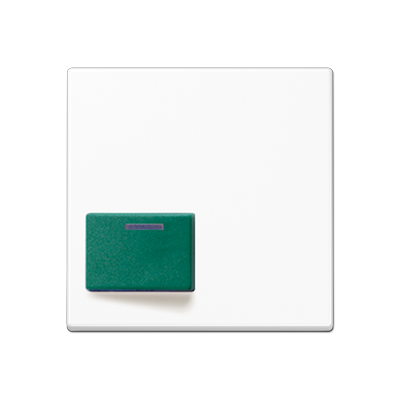 JUNG A642CWW, cover plate for Ackermann, 4011377997615