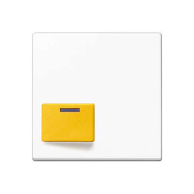 JUNG A642DWW, cover plate for Ackermann, 4011377997639