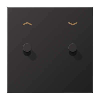 JUNG AL12-5PDK01, Centre plate 1-gang "arrows" 2 toggle, 4011377176980