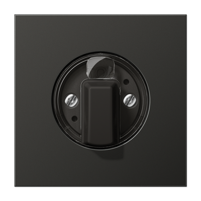 JUNG AL1941AN, centre plate, 4011377114173