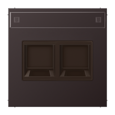 JUNG AL1969-25NAWED, centre plate for MJ f. 2 sockets, 4011377178564