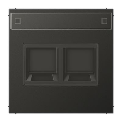 JUNG AL1969-2NAWEAN, centre plate for MJ f. 2 sockets, 4011377178120