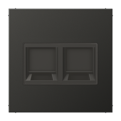 JUNG AL1969-2WEAN, centre plate for MJ f. 2 sockets, 4011377178021