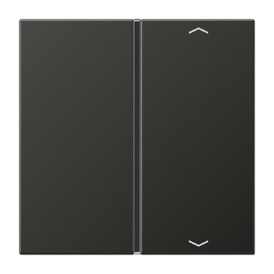 JUNG AL2401TSAPAN, Cover 1-gang with symbols, 4011377044609