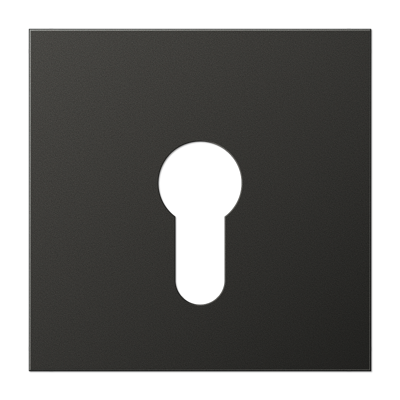 JUNG AL2925AN, centre plate, 4011377012189