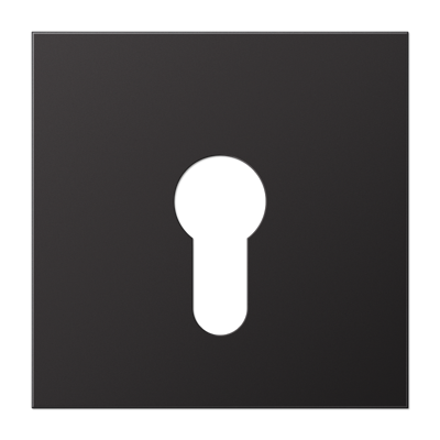 JUNG AL2925D, centre plate f. key switch, 4011377139978