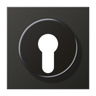 JUNG AL2928AN, centre plate, 4011377012172