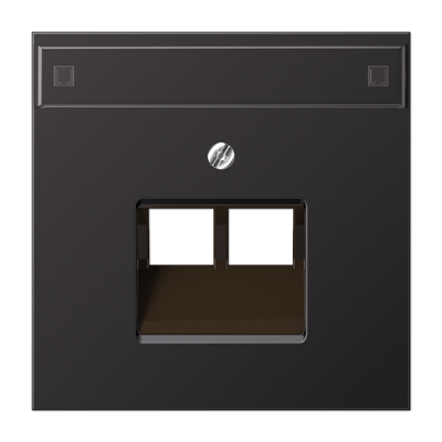 JUNG AL2969-2NAUAD, centre plate, 4011377140035