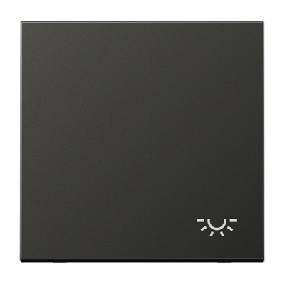 JUNG AL2990LAN, 1-gang rocker w.symbol light, 4011377012097