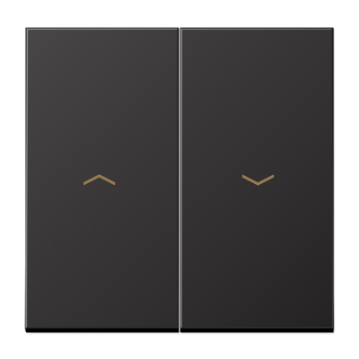 JUNG AL2995PD, rocker, 4011377140356