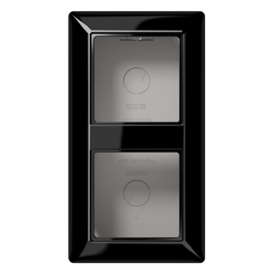 JUNG AS582ASW, Spec.Surface Cap w. integr. frame 2-gang, 4011377039780