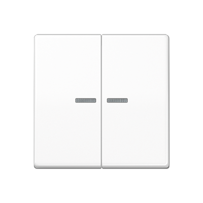 JUNG AS591-5KO5BFWW, rocker, 4011377985971